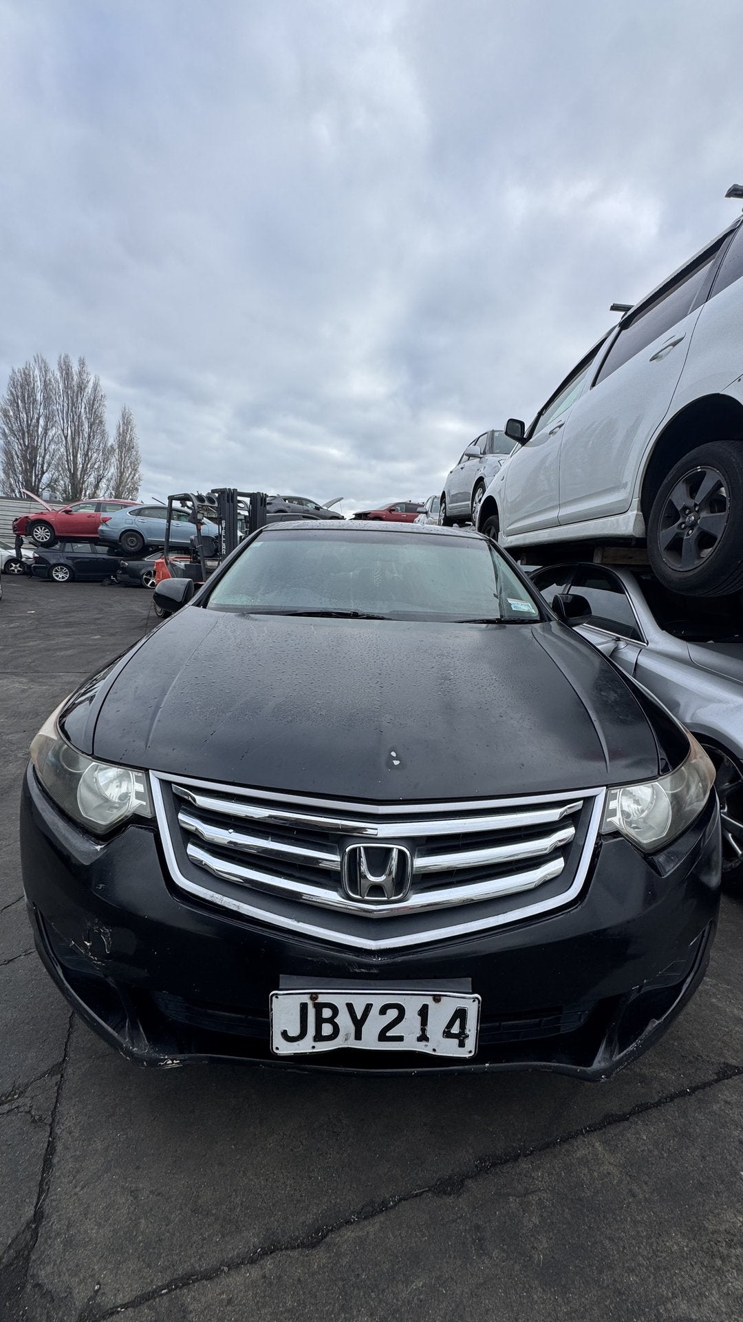 2008 Honda Accord E-S  Dismantling For Parts