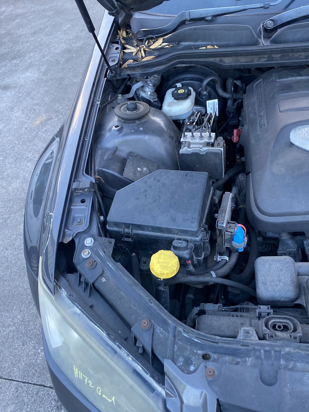 2009 Holden Commodore Dismantling For Parts