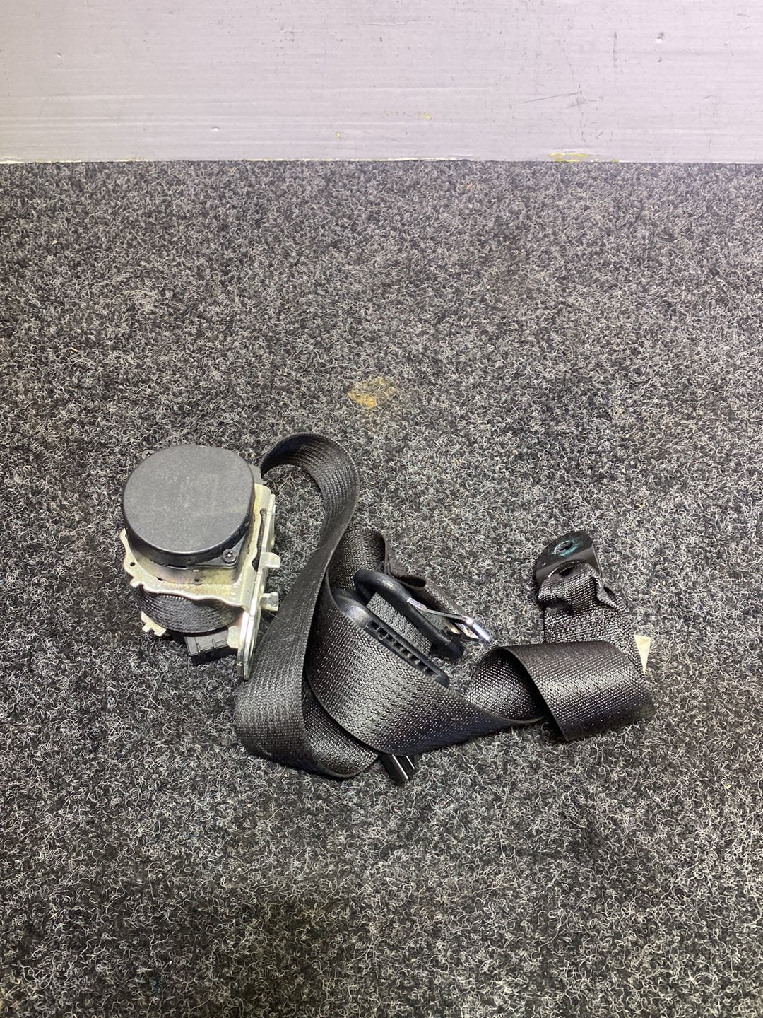 2010 Dodge Journey - Left Rear Seat Belt