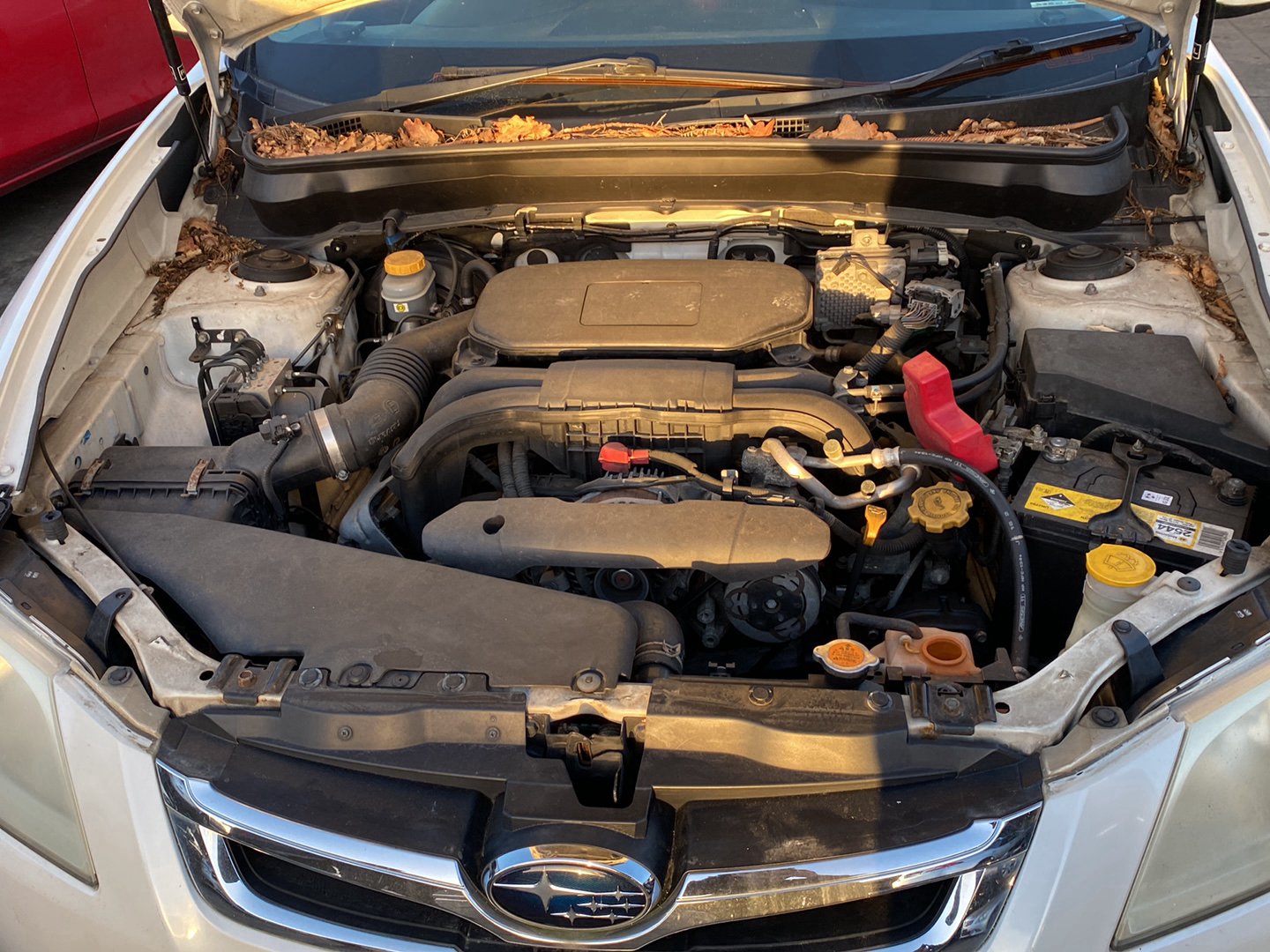 2010 Subaru Exiga i YA4  Dismantling For Parts