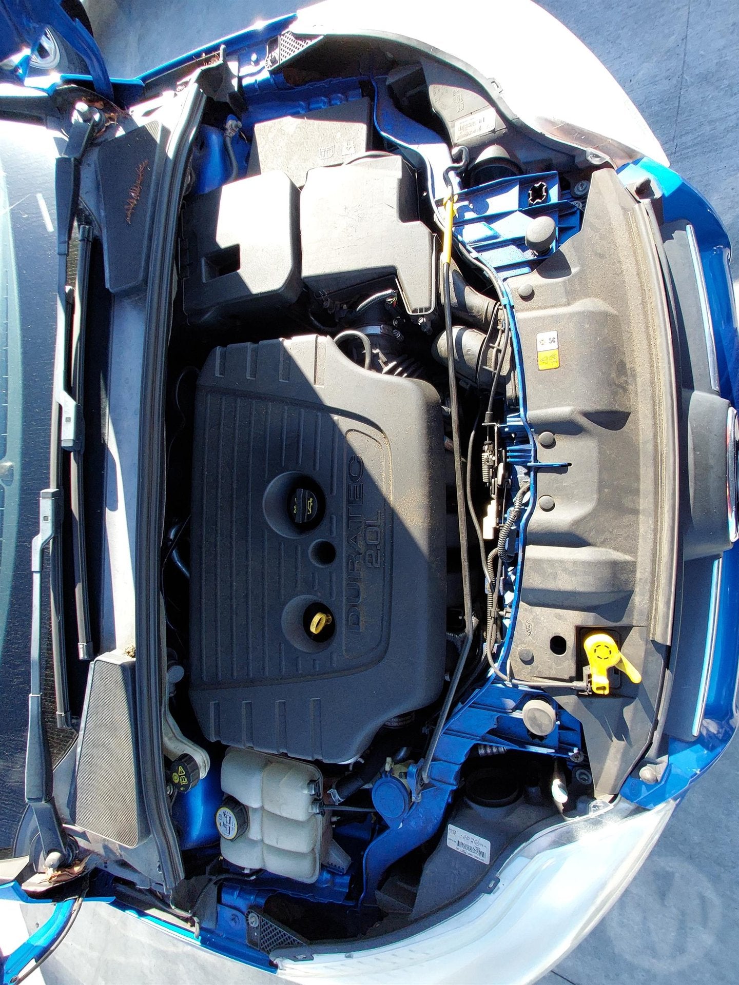 2013 Ford Focus Trend