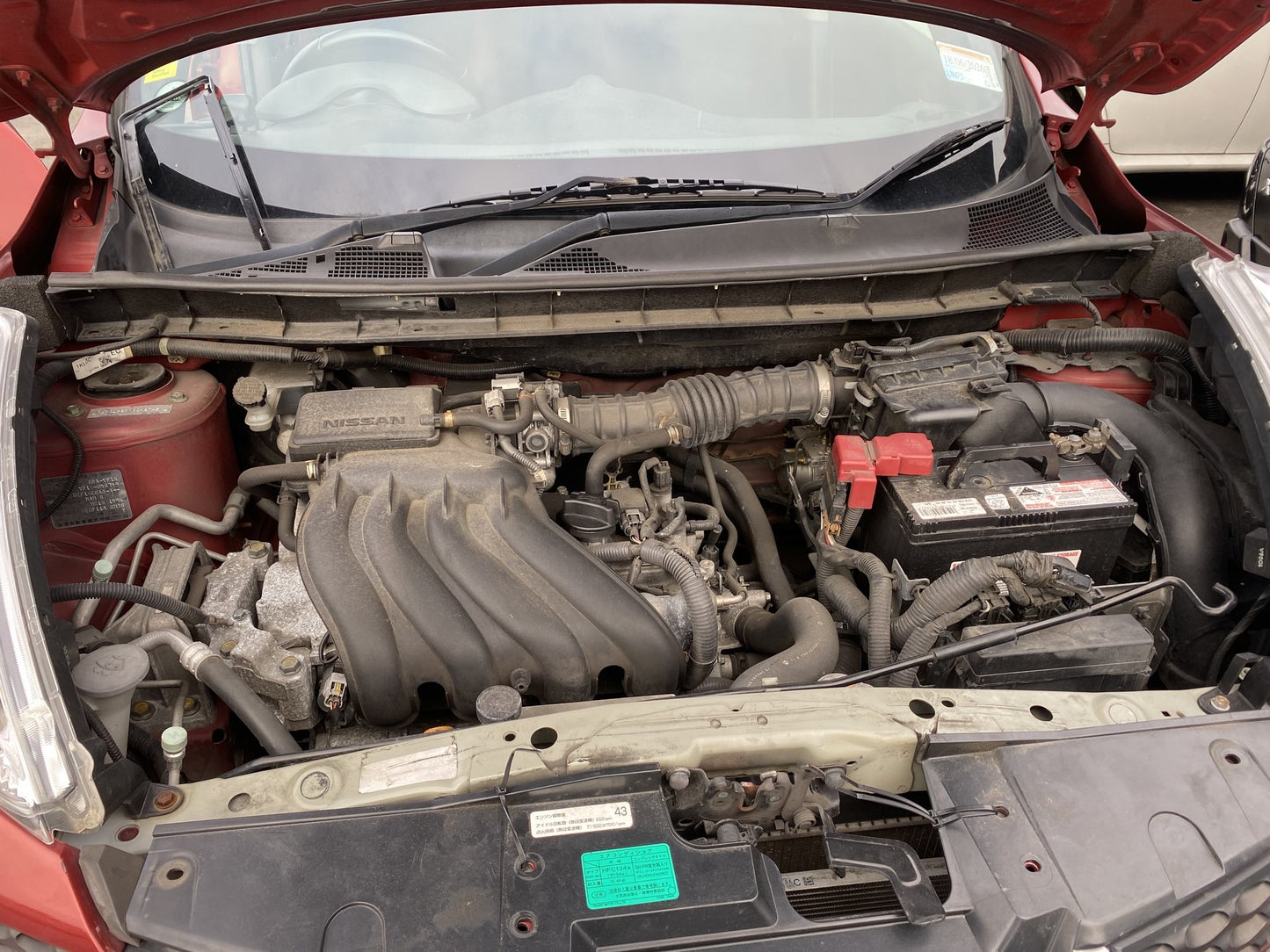 2011 Nissan Juke YF15 Dismantling For Parts