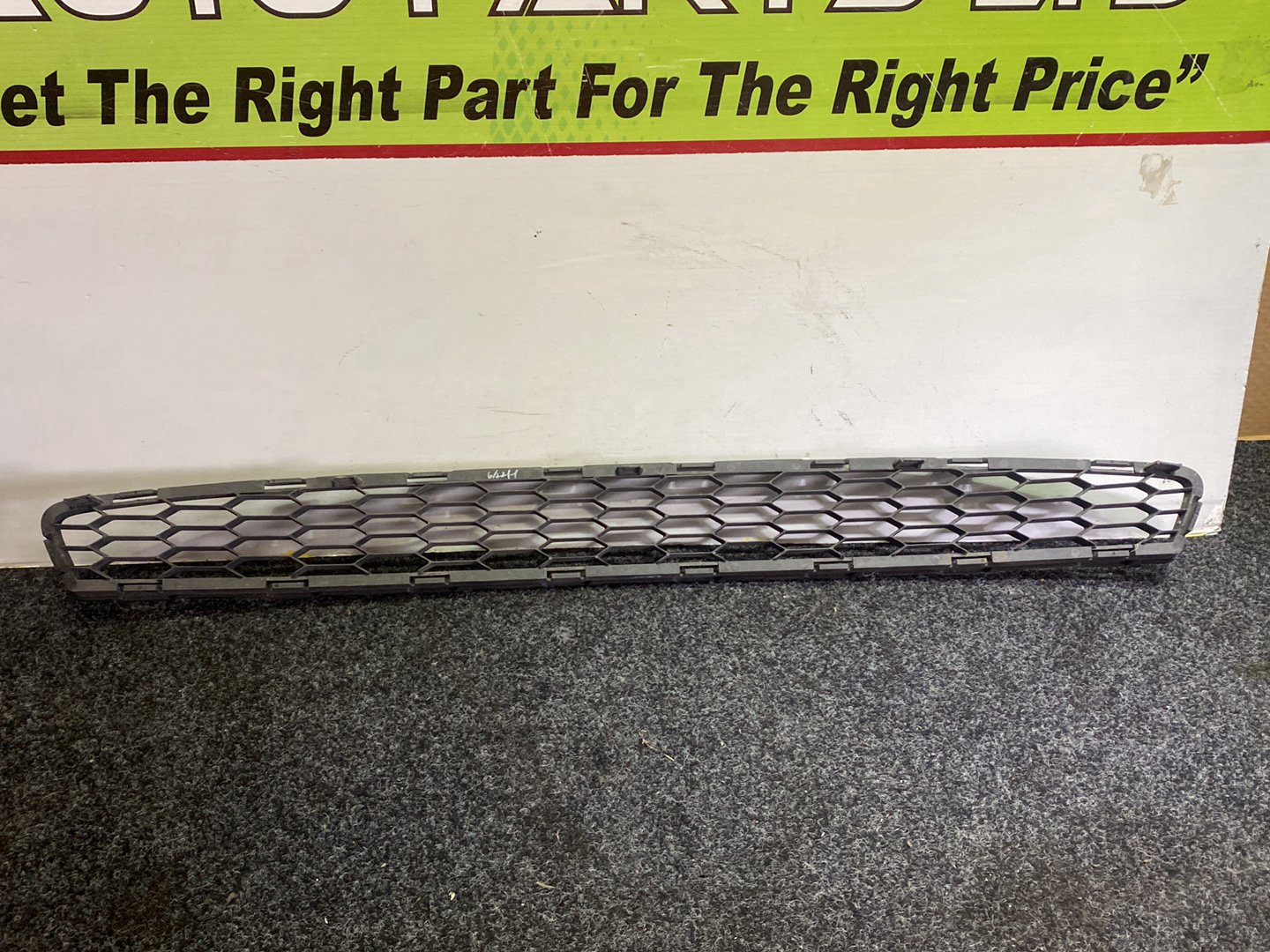 2013 Nissan Leaf - Lower Bumper Grille