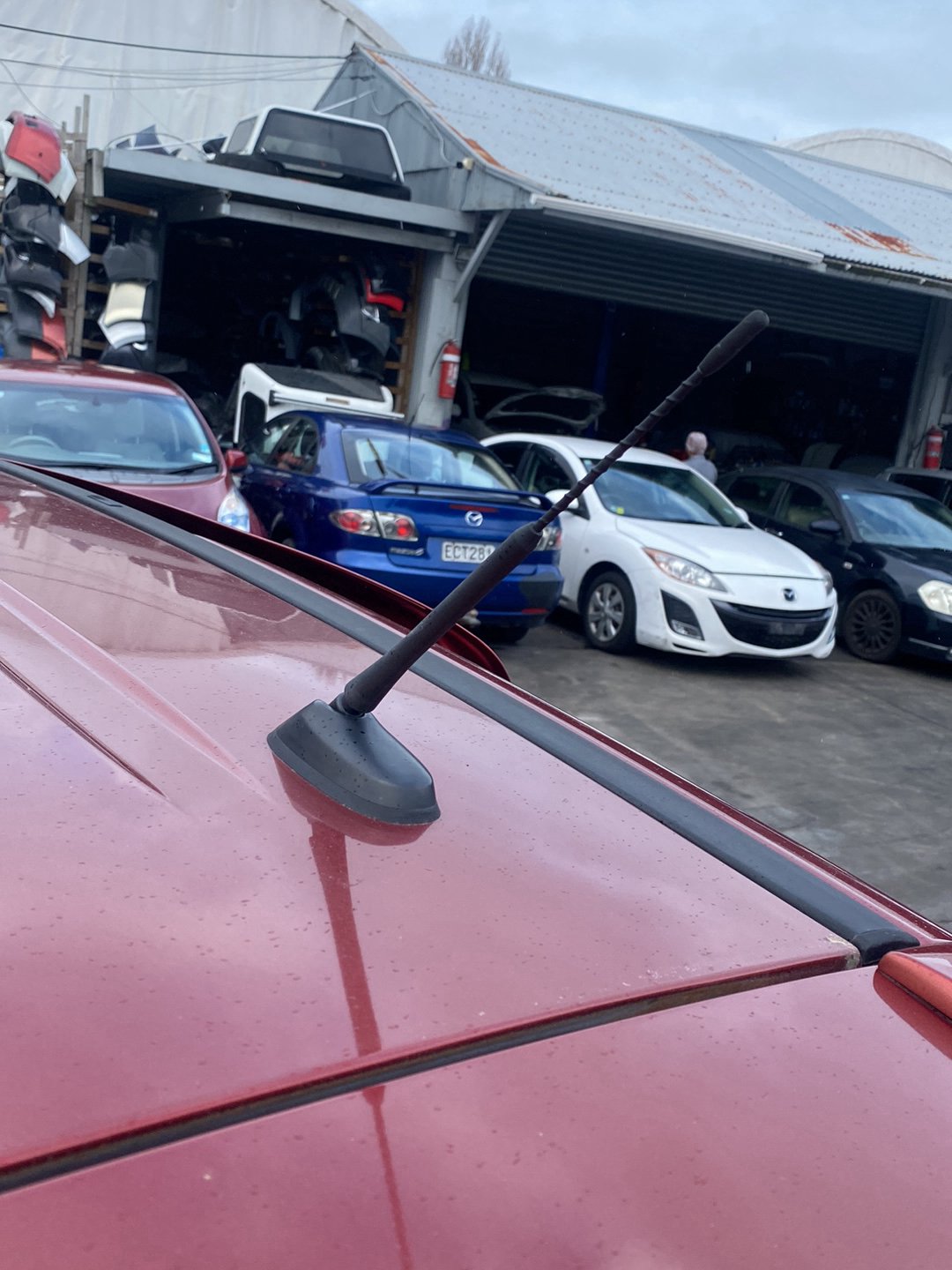 2013 Nissan Lafesta CWFFWN  Dismantling For Parts