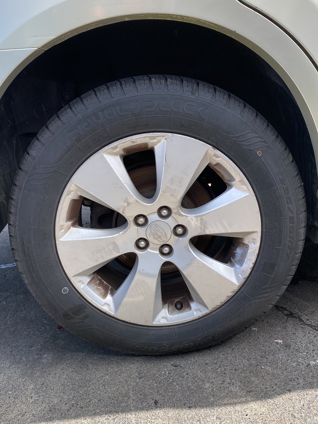2010 Subaru Outback BRF Dismantling For Parts