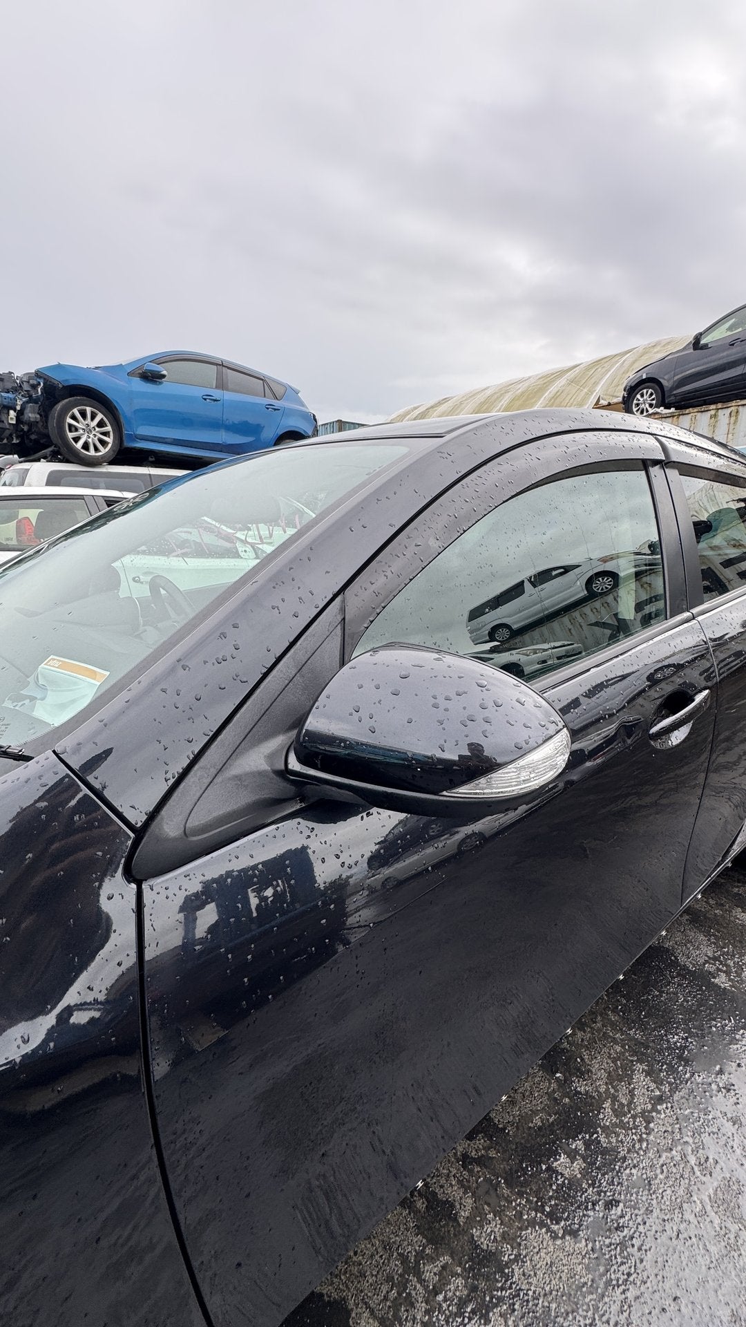 2009 Mazda Axela BLEFW  Dismantling For Parts