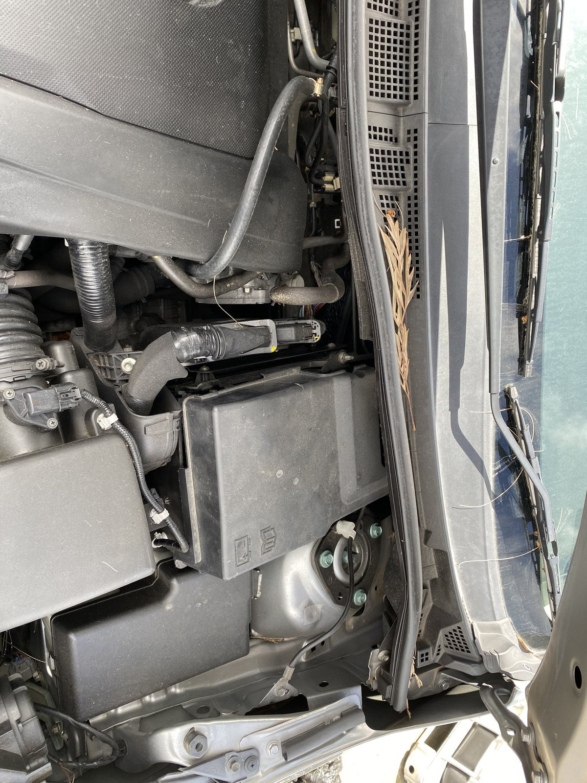 2013 Mazda Premacy CWFFW- Dismantling For Parts