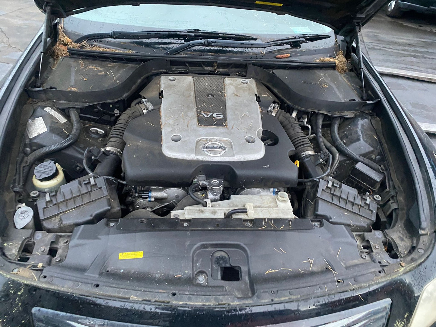 2008 Nissan Skyline V36  Dismantling For Parts
