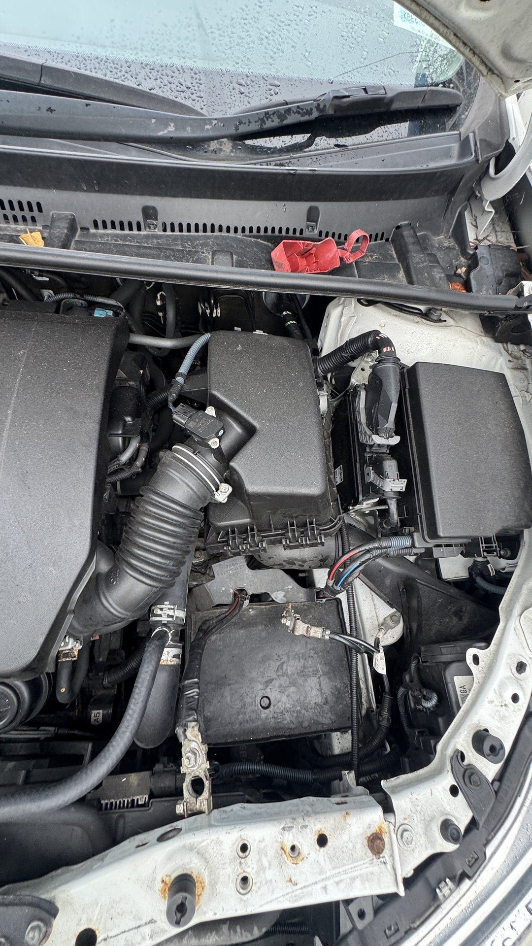 2016 Toyota Corolla  Dismantling For Parts